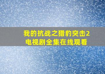 我的抗战之猎豹突击2 电视剧全集在线观看